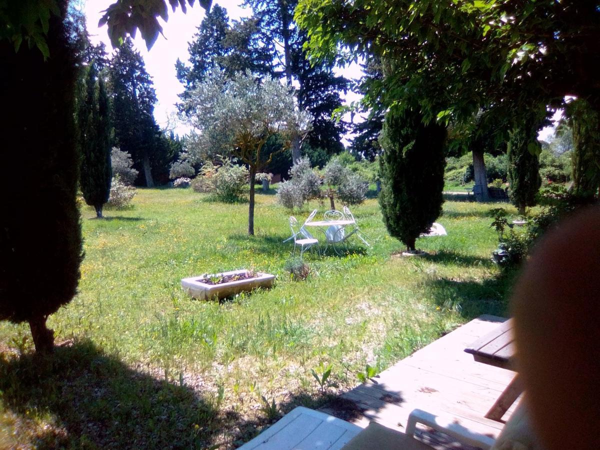 Le Domaine De Belle Bed & Breakfast L'Isle-sur-la-Sorgue Exterior photo